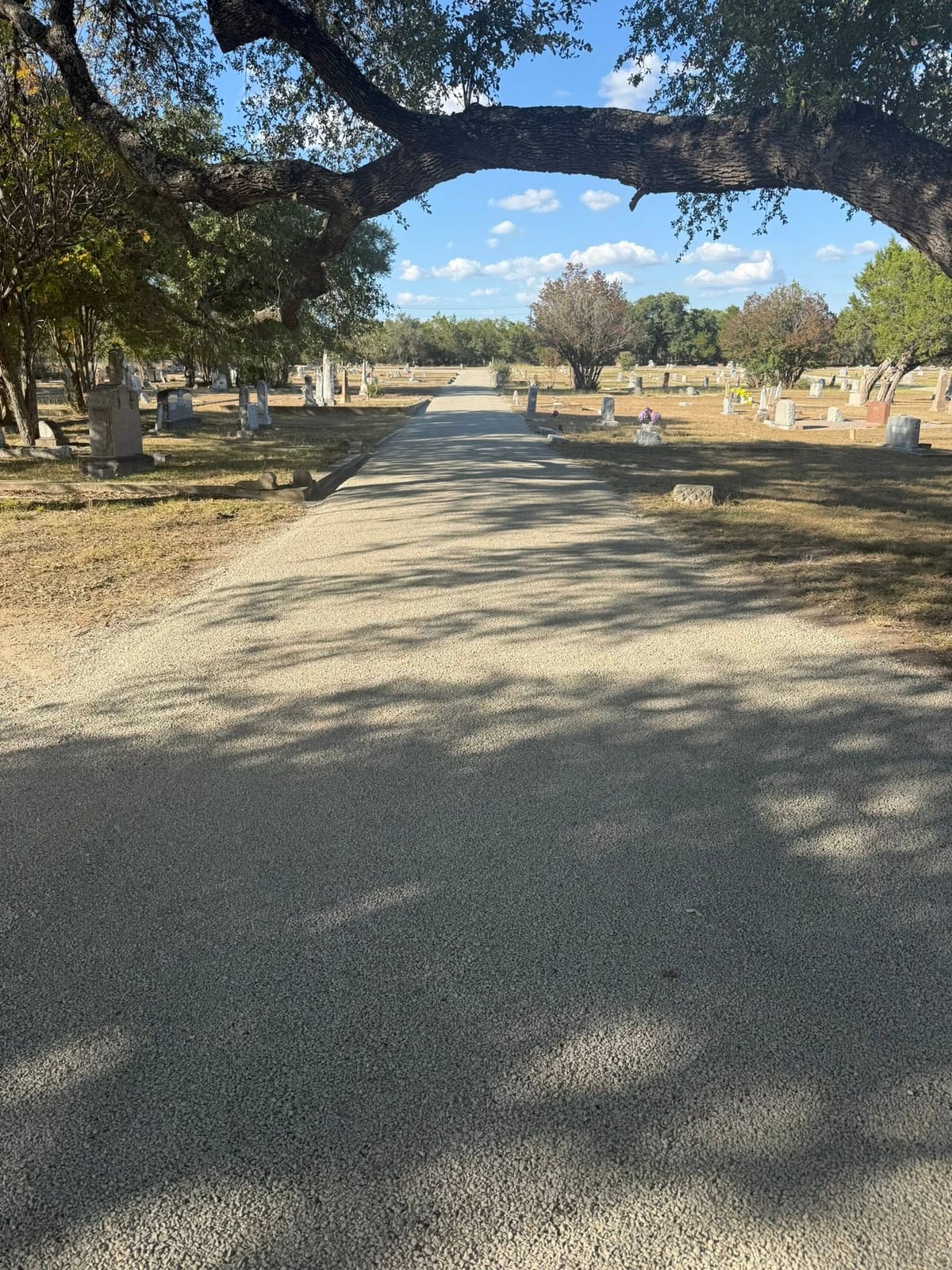 The gravel lane into the historic section, passing under a low live-oak limb, older headstones on either side.
